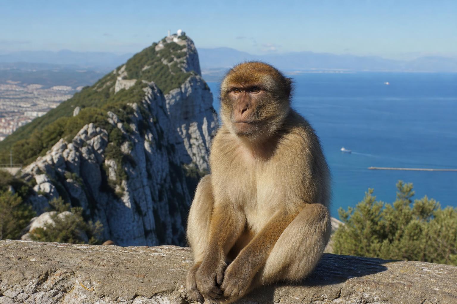 Upper Rock Nature Reserve — The protected upper half of the Rock with monkeys, caves, tunnels and viewpoints.